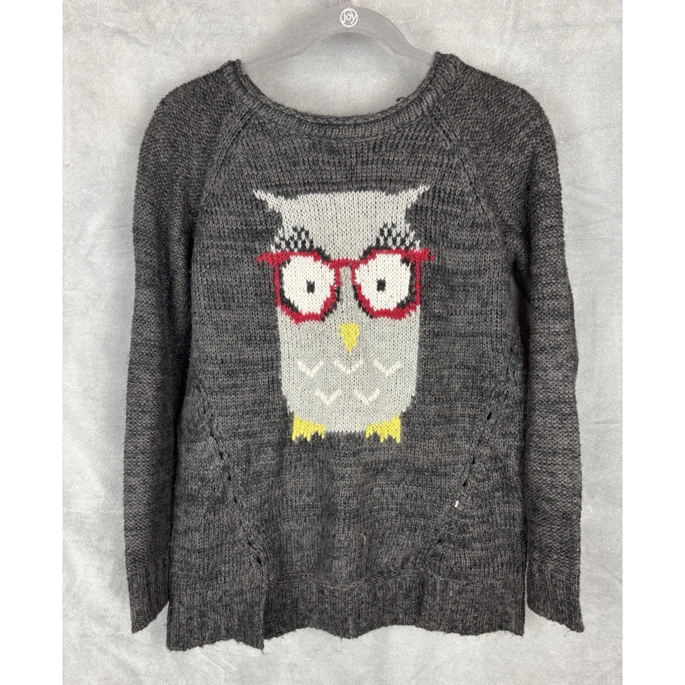 Democracy Owl Graphic Print Knit Sweater Women's Small Gray Novelty Sweater